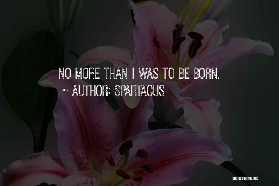 Spartacus Quotes: No More Than I Was To Be Born.