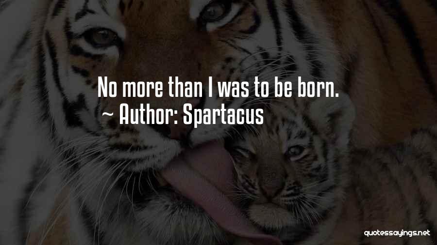 Spartacus Quotes: No More Than I Was To Be Born.