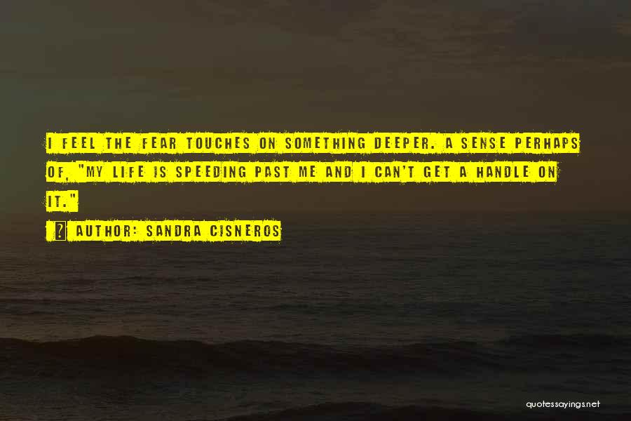 Sandra Cisneros Quotes: I Feel The Fear Touches On Something Deeper. A Sense Perhaps Of, My Life Is Speeding Past Me And I