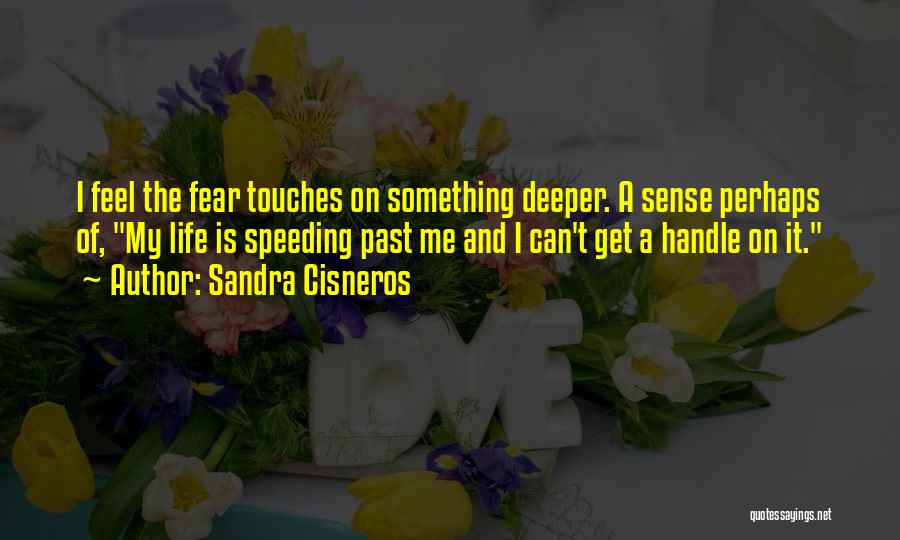 Sandra Cisneros Quotes: I Feel The Fear Touches On Something Deeper. A Sense Perhaps Of, My Life Is Speeding Past Me And I