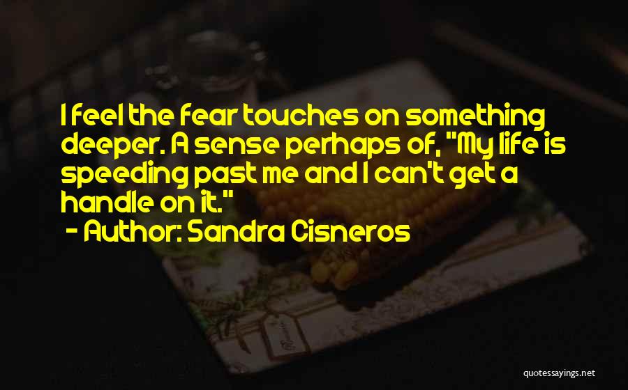 Sandra Cisneros Quotes: I Feel The Fear Touches On Something Deeper. A Sense Perhaps Of, My Life Is Speeding Past Me And I