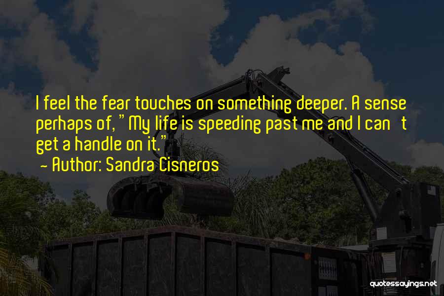 Sandra Cisneros Quotes: I Feel The Fear Touches On Something Deeper. A Sense Perhaps Of, My Life Is Speeding Past Me And I