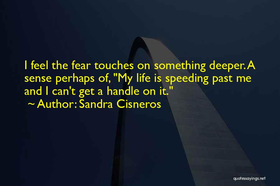 Sandra Cisneros Quotes: I Feel The Fear Touches On Something Deeper. A Sense Perhaps Of, My Life Is Speeding Past Me And I