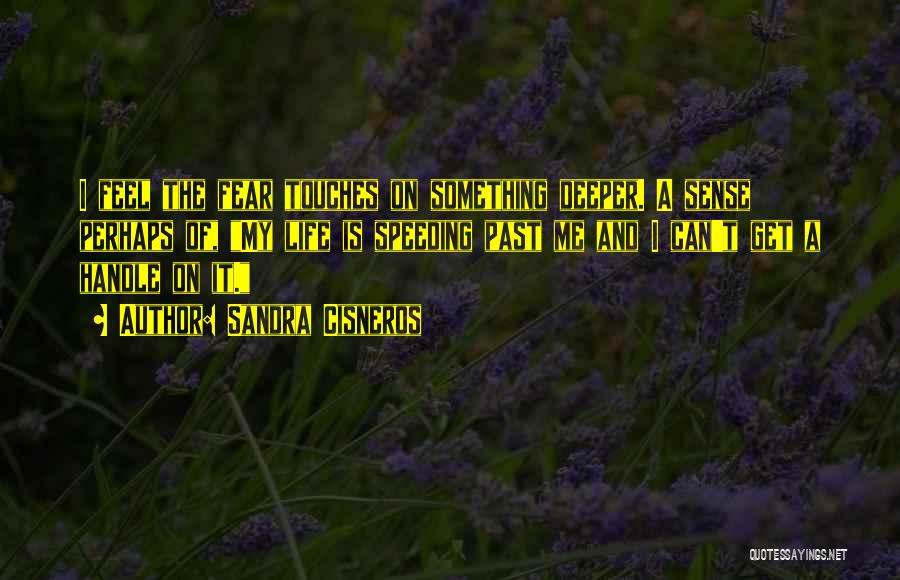 Sandra Cisneros Quotes: I Feel The Fear Touches On Something Deeper. A Sense Perhaps Of, My Life Is Speeding Past Me And I
