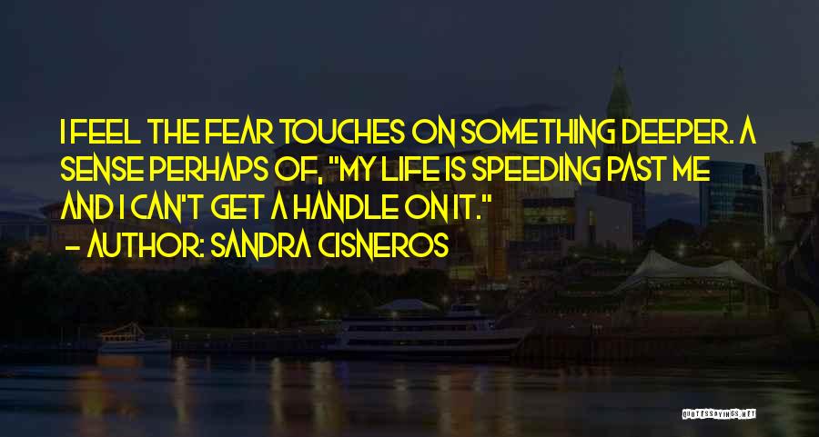 Sandra Cisneros Quotes: I Feel The Fear Touches On Something Deeper. A Sense Perhaps Of, My Life Is Speeding Past Me And I