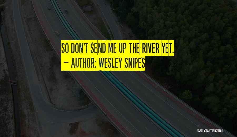 Wesley Snipes Quotes: So Don't Send Me Up The River Yet.