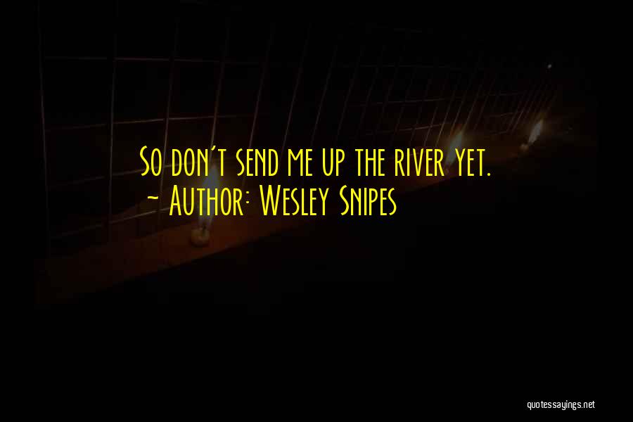 Wesley Snipes Quotes: So Don't Send Me Up The River Yet.