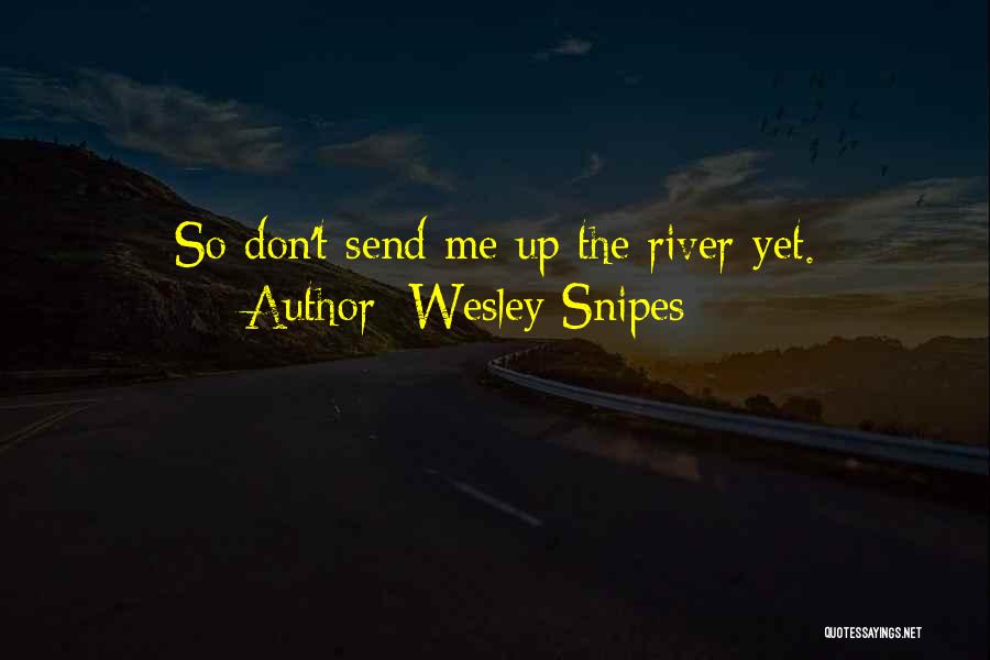 Wesley Snipes Quotes: So Don't Send Me Up The River Yet.