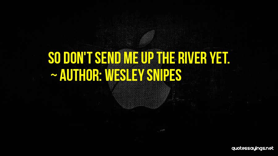 Wesley Snipes Quotes: So Don't Send Me Up The River Yet.