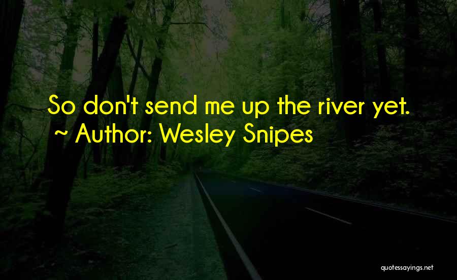 Wesley Snipes Quotes: So Don't Send Me Up The River Yet.