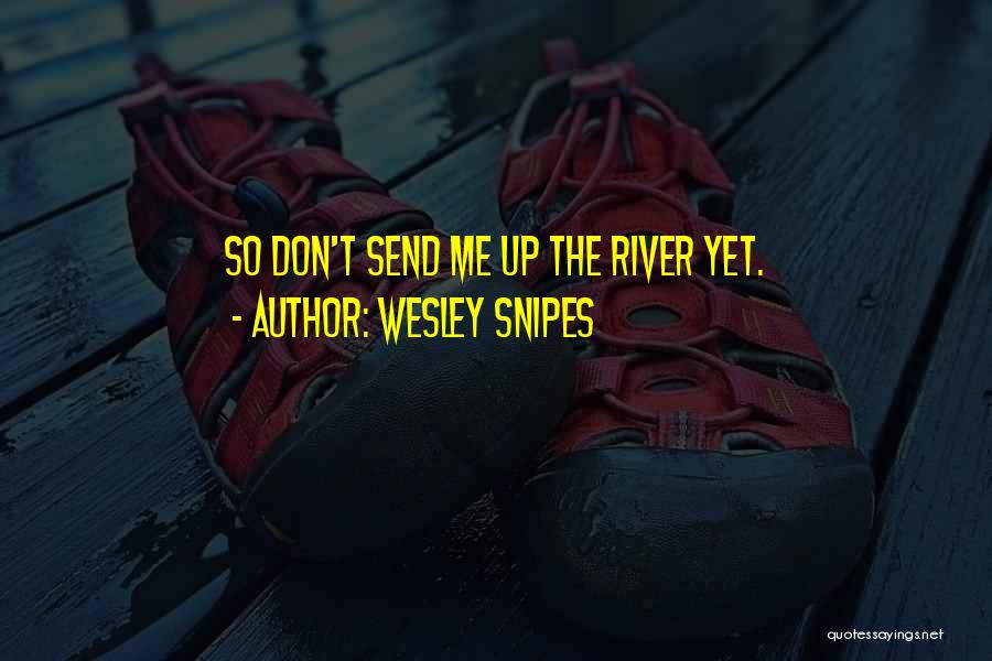 Wesley Snipes Quotes: So Don't Send Me Up The River Yet.