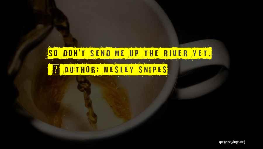 Wesley Snipes Quotes: So Don't Send Me Up The River Yet.