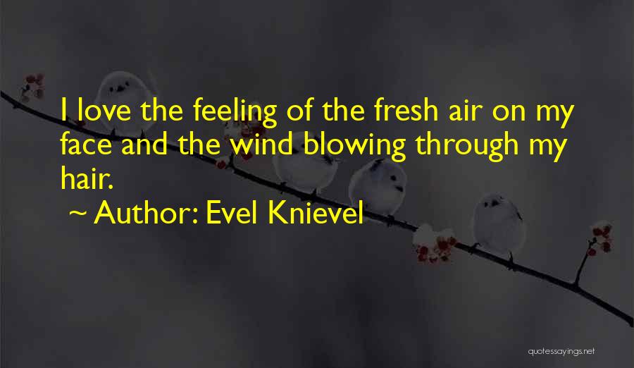 Evel Knievel Quotes: I Love The Feeling Of The Fresh Air On My Face And The Wind Blowing Through My Hair.