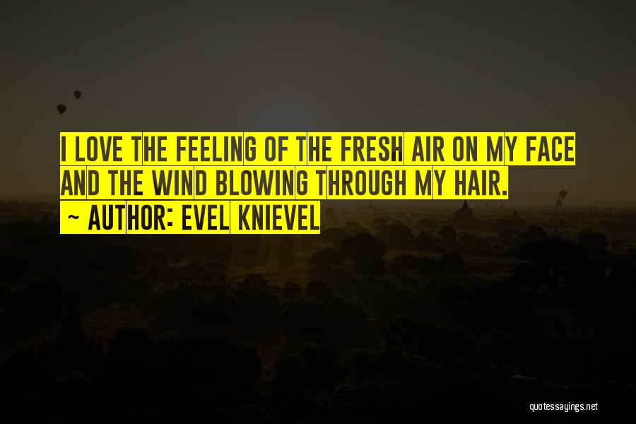 Evel Knievel Quotes: I Love The Feeling Of The Fresh Air On My Face And The Wind Blowing Through My Hair.