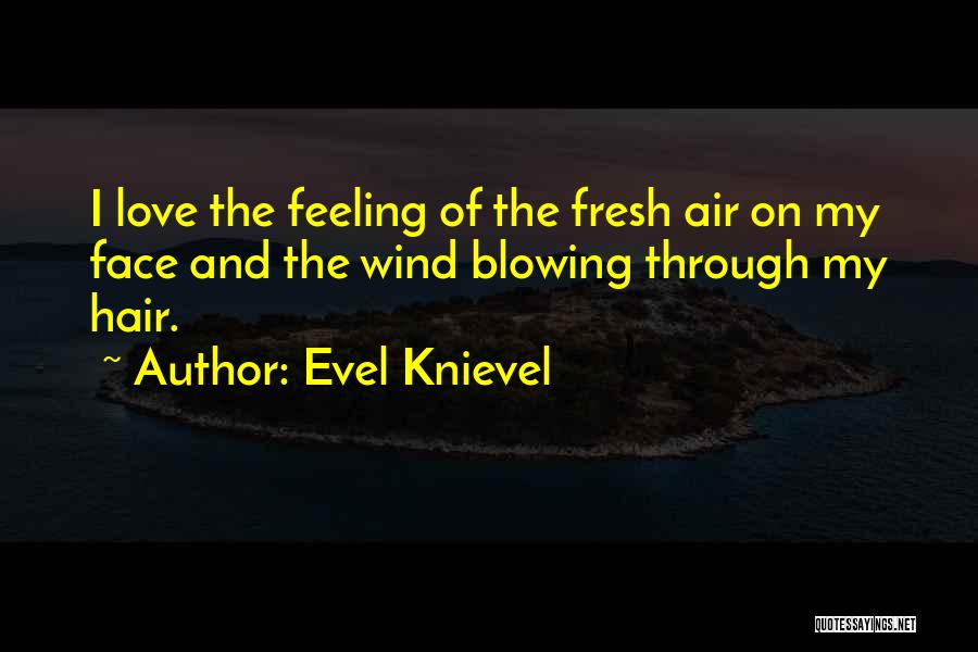 Evel Knievel Quotes: I Love The Feeling Of The Fresh Air On My Face And The Wind Blowing Through My Hair.