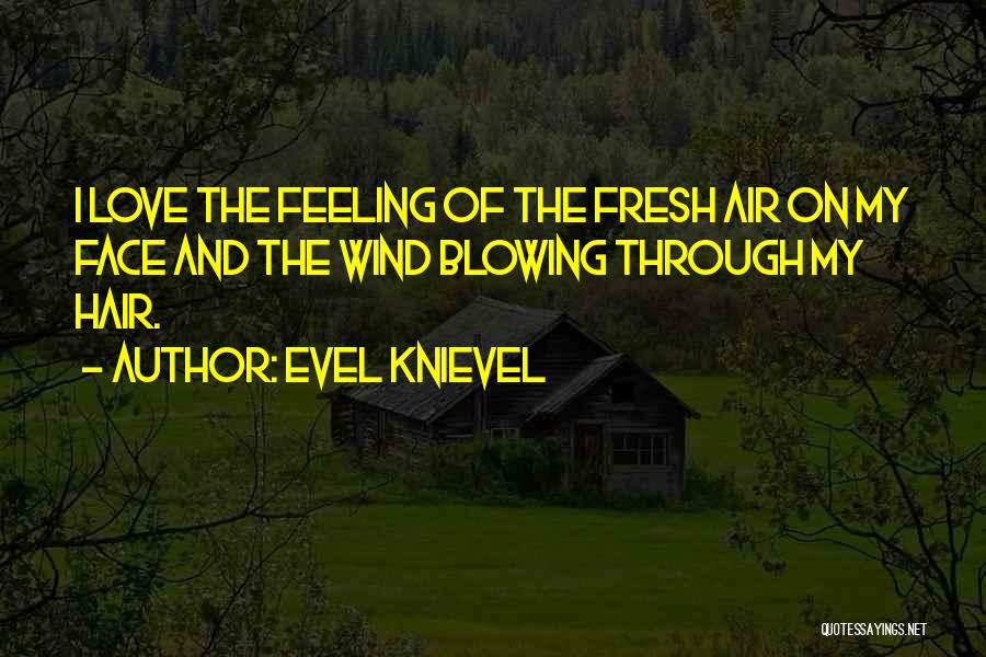 Evel Knievel Quotes: I Love The Feeling Of The Fresh Air On My Face And The Wind Blowing Through My Hair.