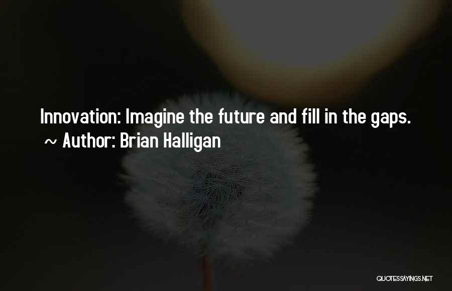 Brian Halligan Quotes: Innovation: Imagine The Future And Fill In The Gaps.
