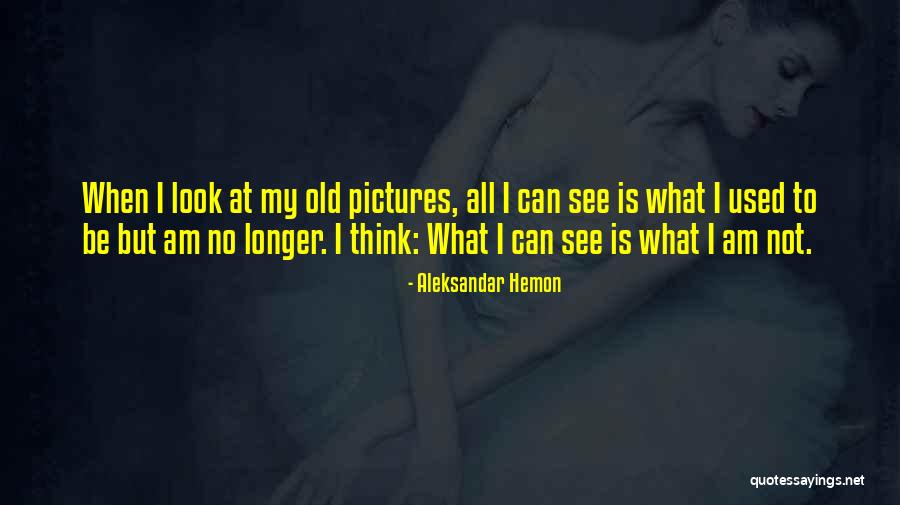 15722 Quotes By Aleksandar Hemon 15722 Quotes By Aleksandar Hemon