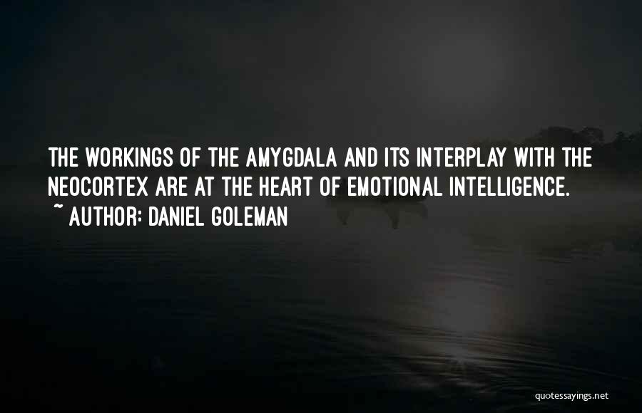 Daniel Goleman Quotes: The Workings Of The Amygdala And Its Interplay With The Neocortex Are At The Heart Of Emotional Intelligence.