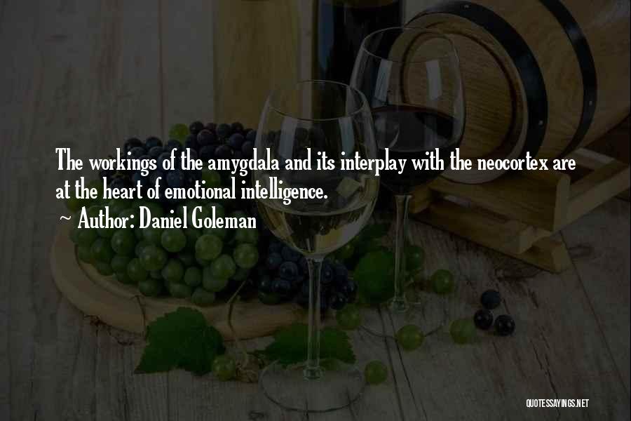 Daniel Goleman Quotes: The Workings Of The Amygdala And Its Interplay With The Neocortex Are At The Heart Of Emotional Intelligence.