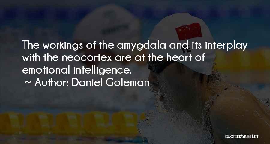 Daniel Goleman Quotes: The Workings Of The Amygdala And Its Interplay With The Neocortex Are At The Heart Of Emotional Intelligence.