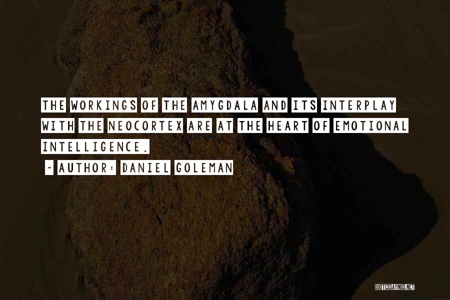 Daniel Goleman Quotes: The Workings Of The Amygdala And Its Interplay With The Neocortex Are At The Heart Of Emotional Intelligence.