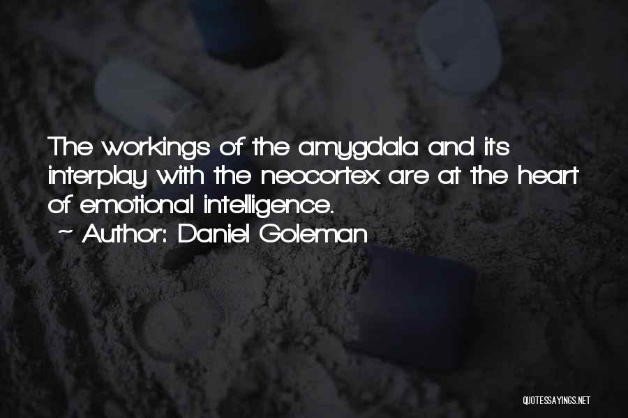 Daniel Goleman Quotes: The Workings Of The Amygdala And Its Interplay With The Neocortex Are At The Heart Of Emotional Intelligence.