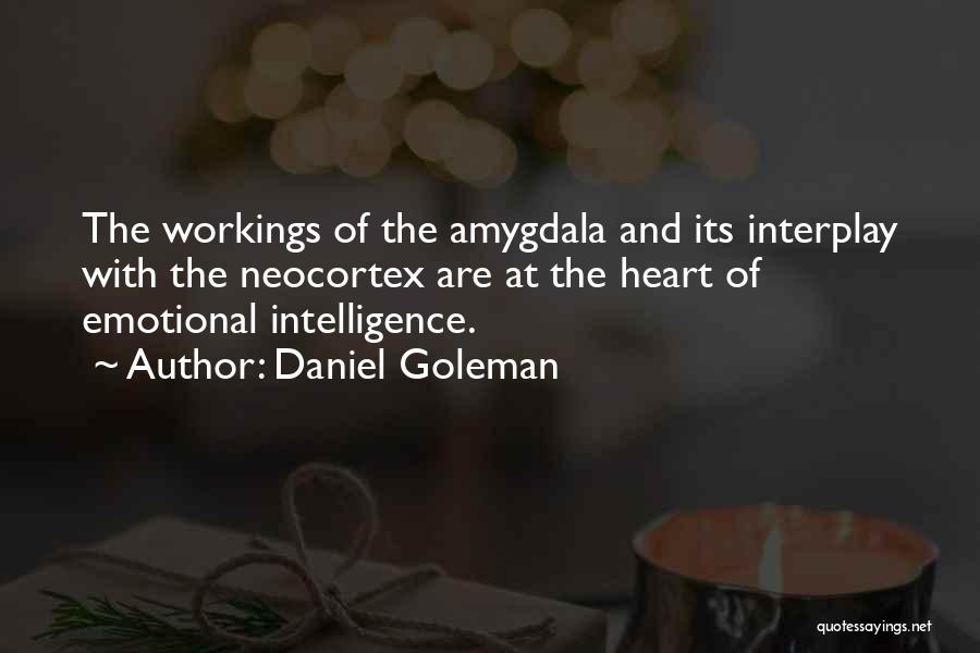 Daniel Goleman Quotes: The Workings Of The Amygdala And Its Interplay With The Neocortex Are At The Heart Of Emotional Intelligence.