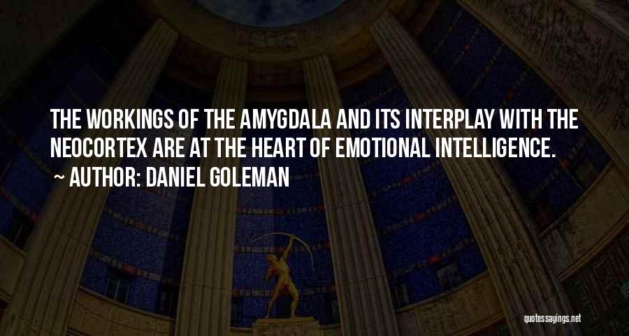 Daniel Goleman Quotes: The Workings Of The Amygdala And Its Interplay With The Neocortex Are At The Heart Of Emotional Intelligence.