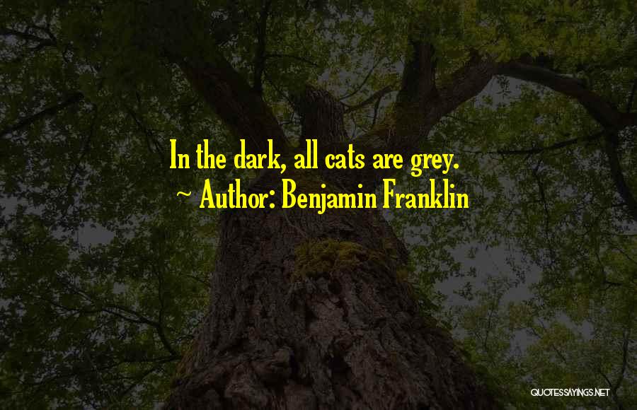 Benjamin Franklin Quotes: In The Dark, All Cats Are Grey.