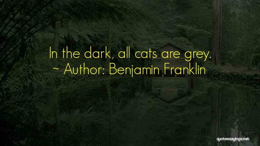 Benjamin Franklin Quotes: In The Dark, All Cats Are Grey.