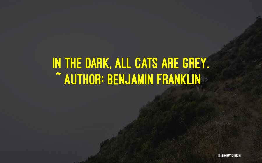 Benjamin Franklin Quotes: In The Dark, All Cats Are Grey.