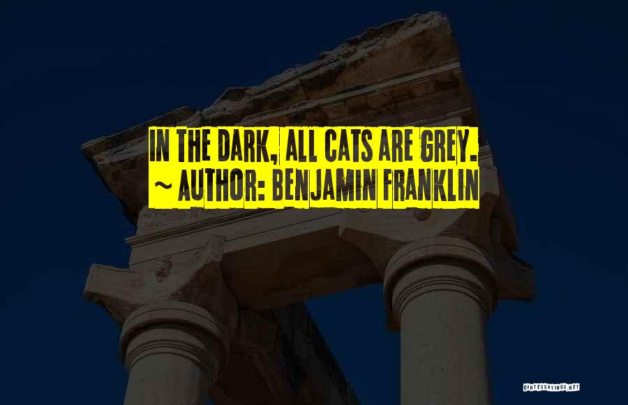 Benjamin Franklin Quotes: In The Dark, All Cats Are Grey.