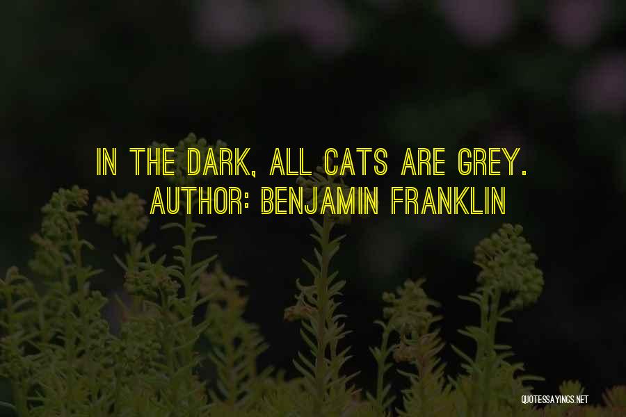 Benjamin Franklin Quotes: In The Dark, All Cats Are Grey.