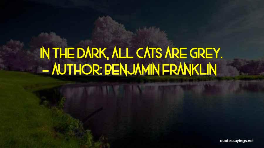 Benjamin Franklin Quotes: In The Dark, All Cats Are Grey.
