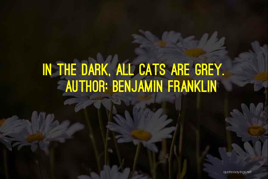 Benjamin Franklin Quotes: In The Dark, All Cats Are Grey.