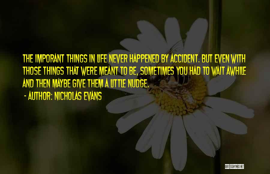 Nicholas Evans Quotes: The Imporant Things In Life Never Happened By Accident. But Even With Those Things That Were Meant To Be, Sometimes