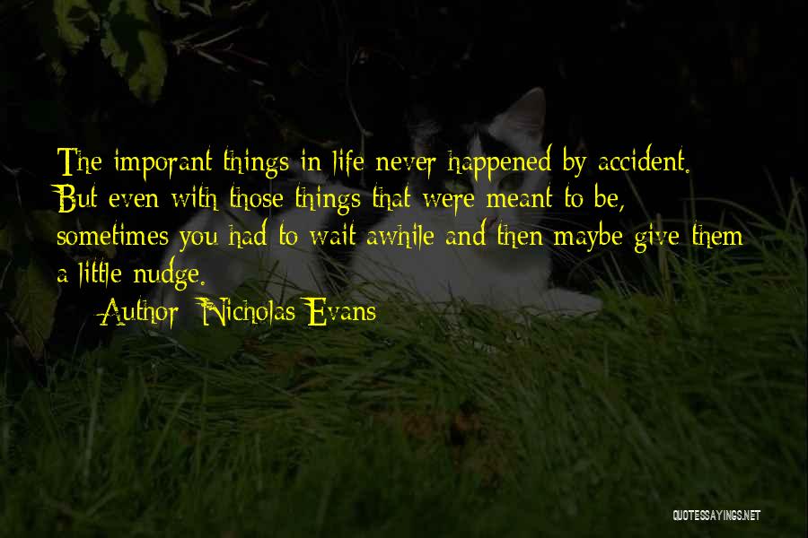 Nicholas Evans Quotes: The Imporant Things In Life Never Happened By Accident. But Even With Those Things That Were Meant To Be, Sometimes