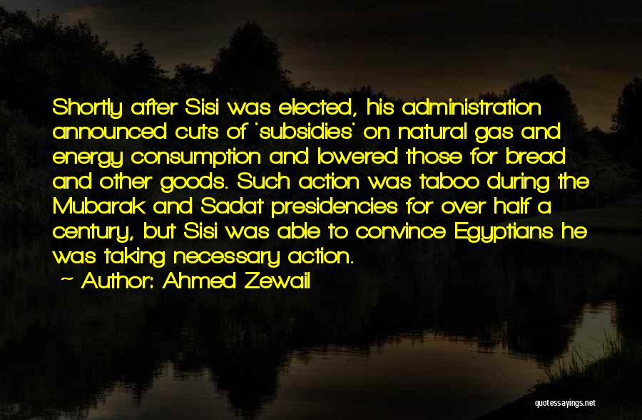 Ahmed Zewail Quotes: Shortly After Sisi Was Elected, His Administration Announced Cuts Of 'subsidies' On Natural Gas And Energy Consumption And Lowered Those