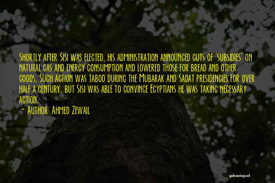 Ahmed Zewail Quotes: Shortly After Sisi Was Elected, His Administration Announced Cuts Of 'subsidies' On Natural Gas And Energy Consumption And Lowered Those