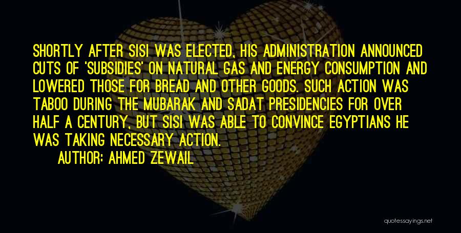 Ahmed Zewail Quotes: Shortly After Sisi Was Elected, His Administration Announced Cuts Of 'subsidies' On Natural Gas And Energy Consumption And Lowered Those