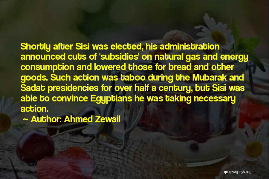 Ahmed Zewail Quotes: Shortly After Sisi Was Elected, His Administration Announced Cuts Of 'subsidies' On Natural Gas And Energy Consumption And Lowered Those
