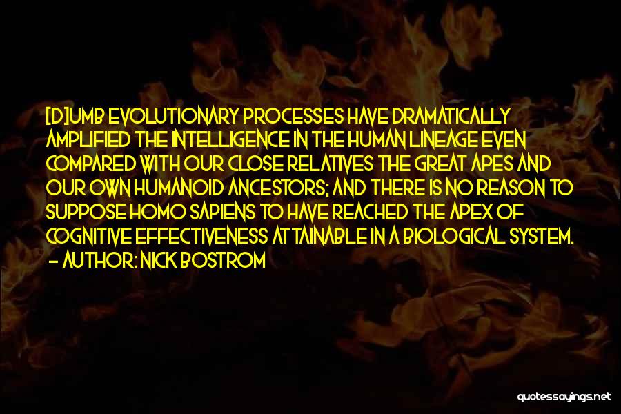 Nick Bostrom Quotes: [d]umb Evolutionary Processes Have Dramatically Amplified The Intelligence In The Human Lineage Even Compared With Our Close Relatives The Great