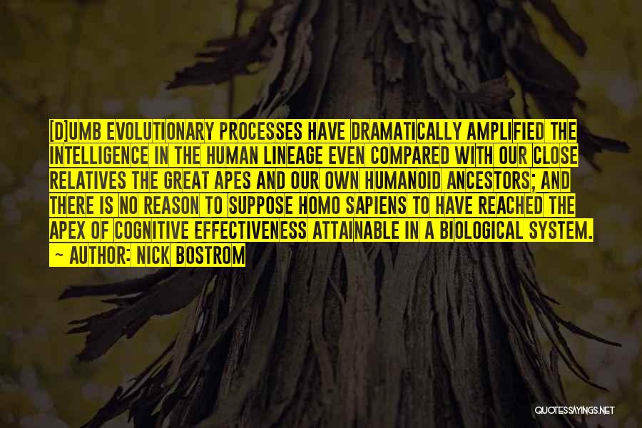 Nick Bostrom Quotes: [d]umb Evolutionary Processes Have Dramatically Amplified The Intelligence In The Human Lineage Even Compared With Our Close Relatives The Great