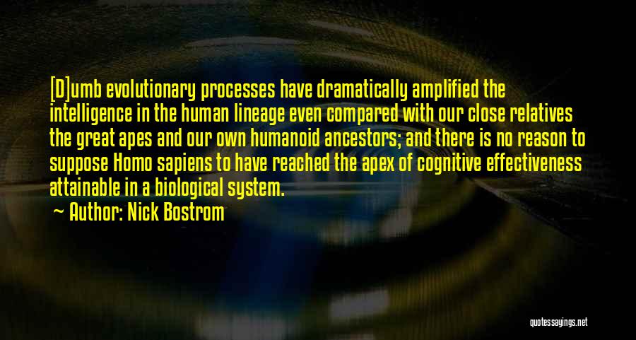 Nick Bostrom Quotes: [d]umb Evolutionary Processes Have Dramatically Amplified The Intelligence In The Human Lineage Even Compared With Our Close Relatives The Great