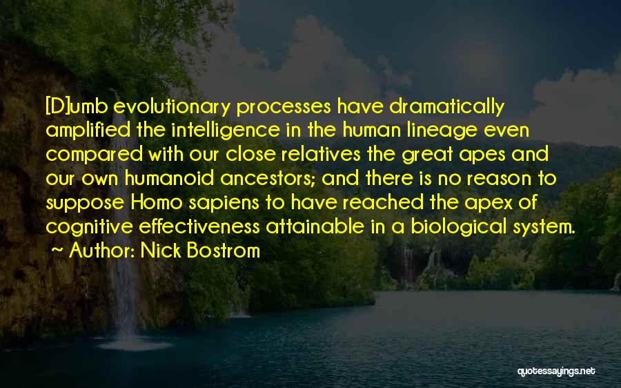 Nick Bostrom Quotes: [d]umb Evolutionary Processes Have Dramatically Amplified The Intelligence In The Human Lineage Even Compared With Our Close Relatives The Great