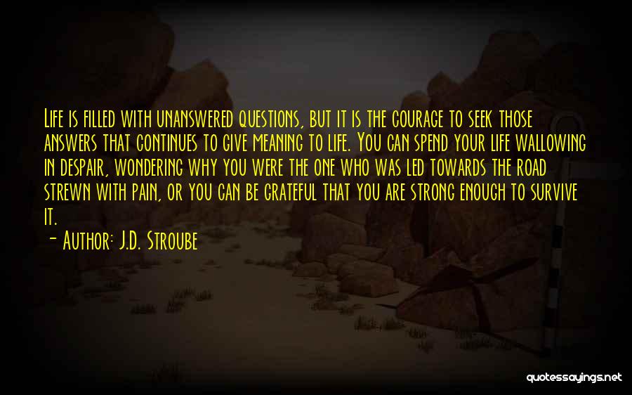 J.D. Stroube Quotes: Life Is Filled With Unanswered Questions, But It Is The Courage To Seek Those Answers That Continues To Give Meaning