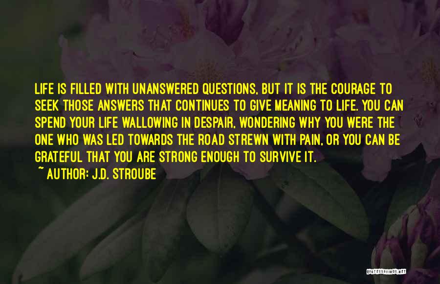 J.D. Stroube Quotes: Life Is Filled With Unanswered Questions, But It Is The Courage To Seek Those Answers That Continues To Give Meaning