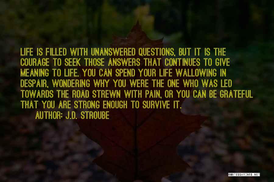 J.D. Stroube Quotes: Life Is Filled With Unanswered Questions, But It Is The Courage To Seek Those Answers That Continues To Give Meaning