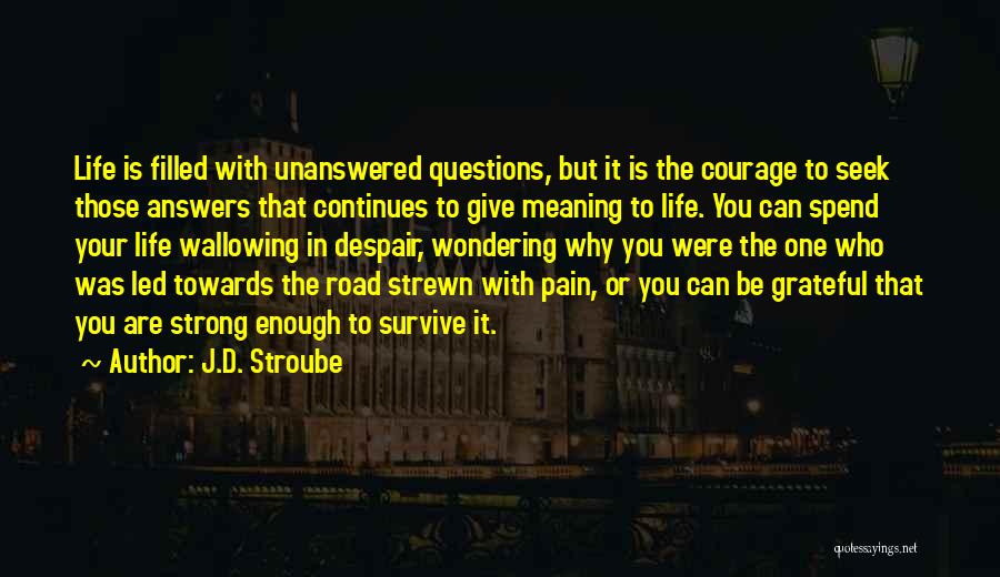 J.D. Stroube Quotes: Life Is Filled With Unanswered Questions, But It Is The Courage To Seek Those Answers That Continues To Give Meaning
